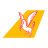 Pegasus Airlines